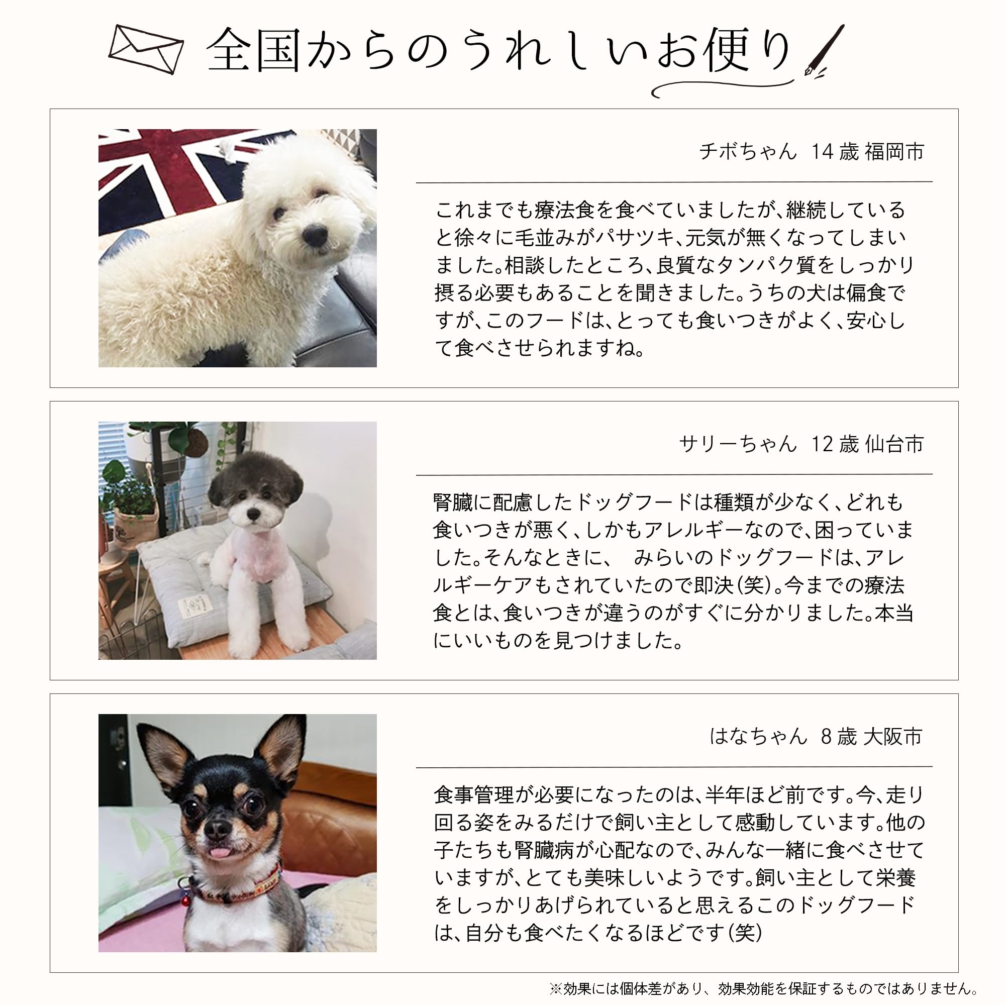Amazon.co.jp: 和漢みらいのドッグフード 腎臓ケア 1kg×1袋 特別療法食
